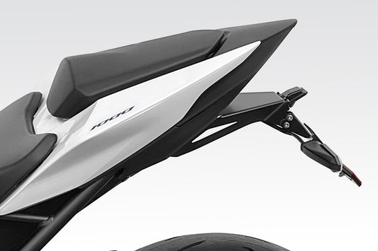 R-01018X Hornet 1000 2025 - Kit Targa Internazionale - Portatarga Regolabile - Minuteria Inclusa - Accessori De Pretto Moto (DPM Race) - 100% Made in Italy